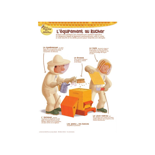 Kit de 5 posters pédagogiques série 2