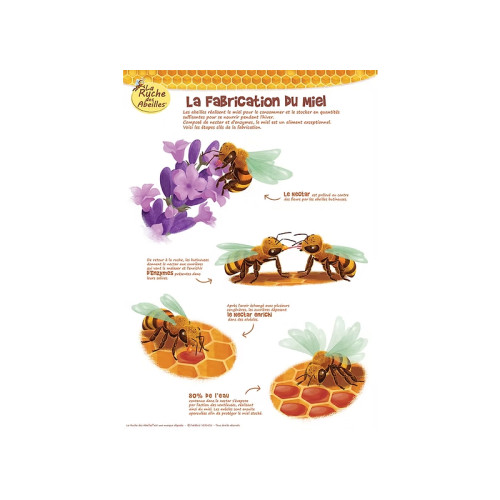 Kit de 5 posters pédagogiques série 2