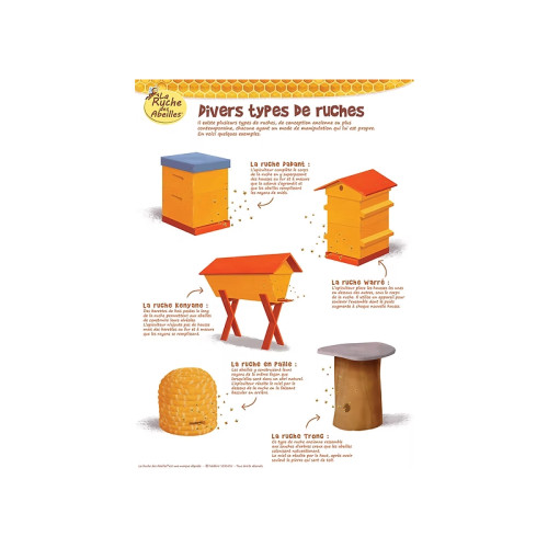 Kit de 5 posters pédagogiques série 2