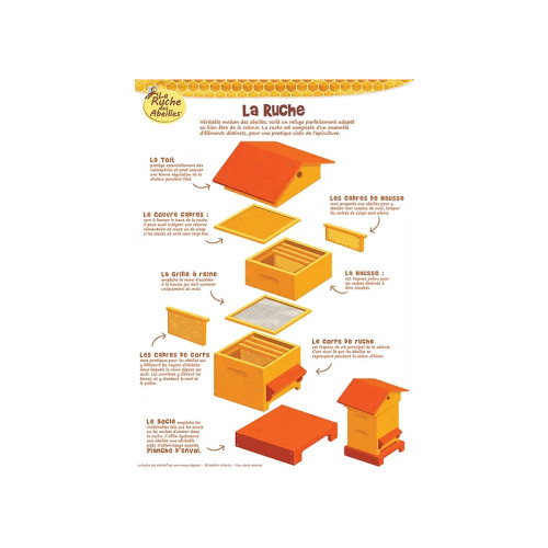 Kit de 5 posters pédagogiques série 2