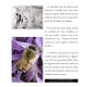 La thérapie au venin d'abeille, de Roch Domerego