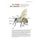 Le rucher durable : Guide pratique de l'apiculteur d'aujourd'hui 
