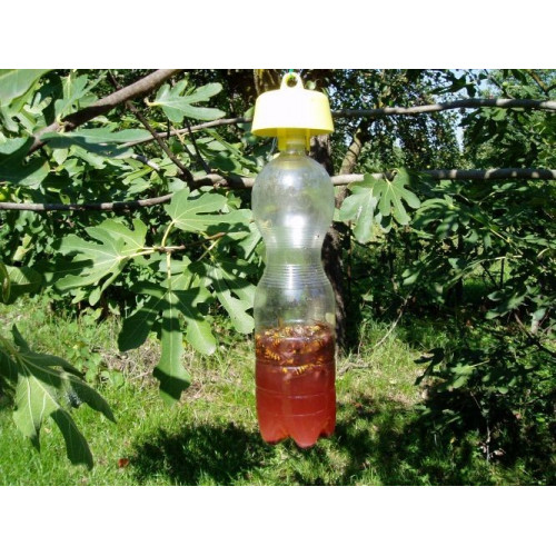 Piège HAPPY-TRAP jaune pour guêpes & frelons