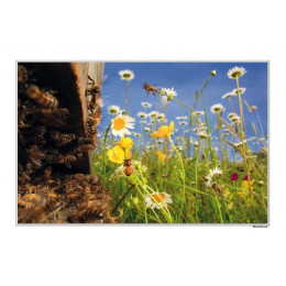 Poster «L'arrivée des fleurs»