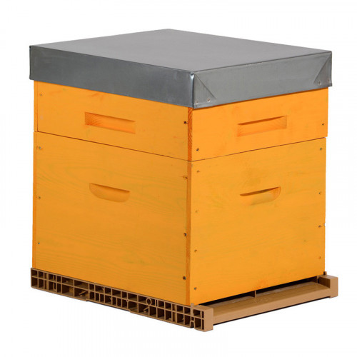 Ruche colorée Dadant 10 cadres + Hausse & Fond aéré