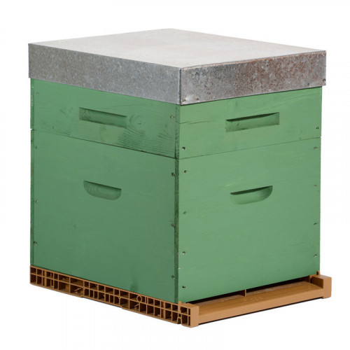 Ruche colorée Dadant 10 cadres + Hausse & Fond aéré