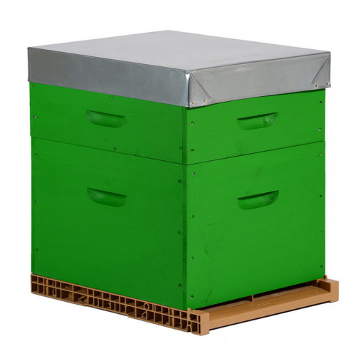 Ruche colorée Dadant 10 cadres + Hausse & Fond aéré