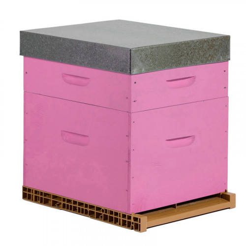 Ruche colorée Dadant 10 cadres + Hausse & Fond aéré