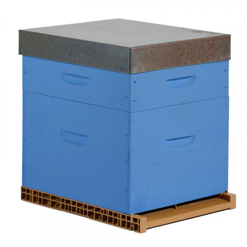 Ruche colorée Dadant 10 cadres + Hausse & Fond aéré