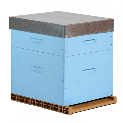 Ruche colorée Dadant 10 cadres + Hausse & Fond aéré