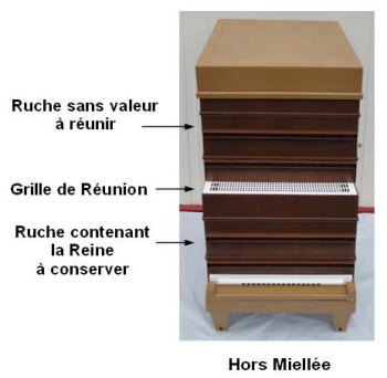 Grille de réunion