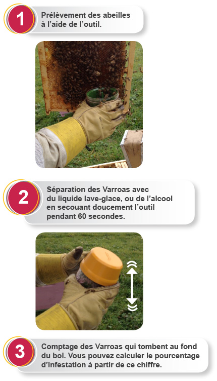 Mode d'emploi Varroa EasyCheck