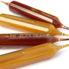 gelee royale en ampoules