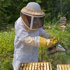 tenue d'apiculteur