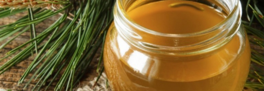 Tout savoir sur le miel de sapin