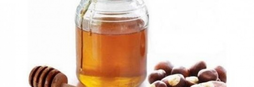 Tout savoir sur le miel de châtaignier