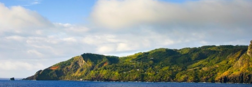 Tout savoir sur le miel de Pitcairn
