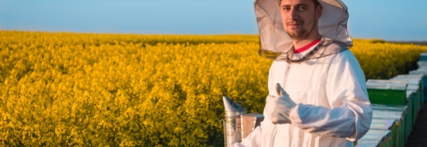 L’équipement essentiel de l’apiculteur