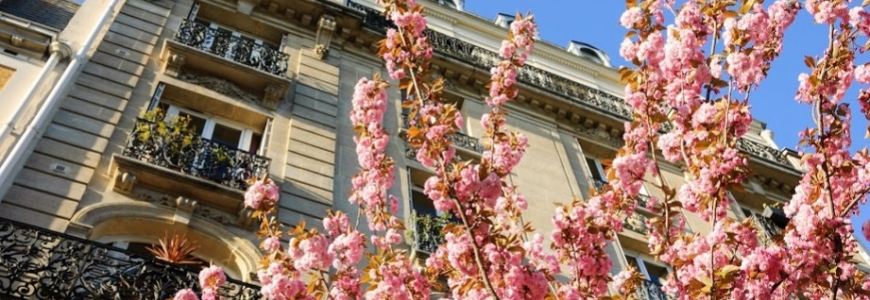 Les miels produits à Paris