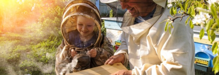 Bien s'habiller pour l'apiculture : les vêtements de l'apiculteur
