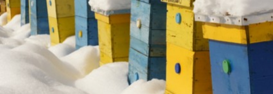 Réussir l'hivernage