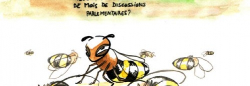 L'arrêté sur les néonicotinoïdes