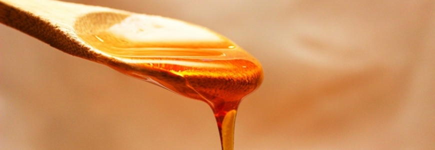 Découvrez tous les produits de la ruche