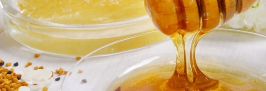 Tout savoir sur le miel d'Acacia