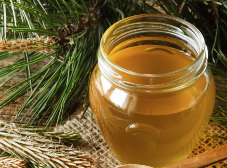 Tout savoir sur le miel de sapin et ses vertus