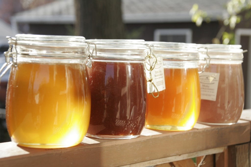 Les différents types de miel