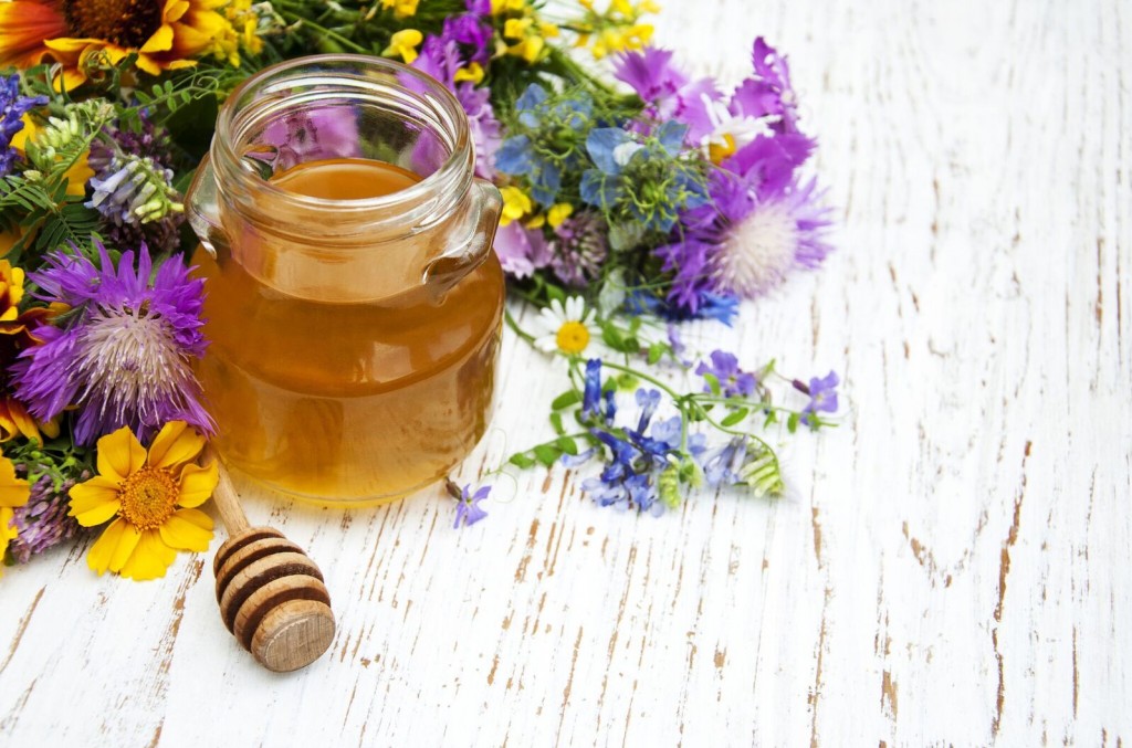 Tout savoir sur le miel 