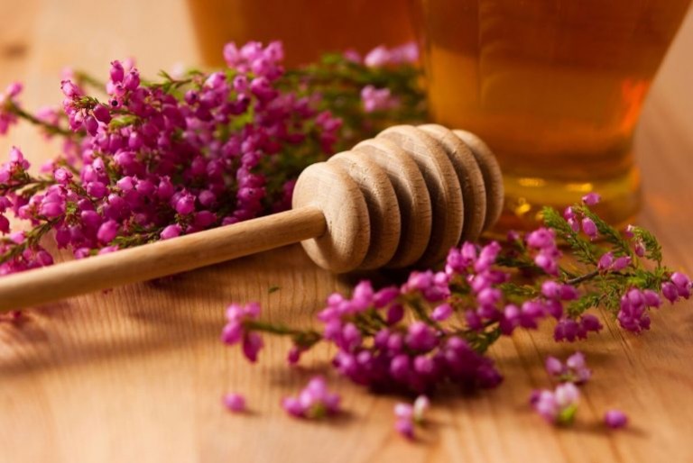 Tout savoir sur le miel de Bruyère