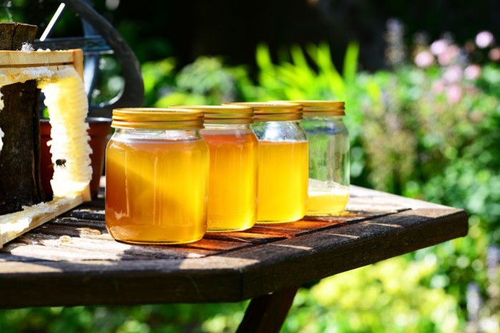 Comment s’organiser pour la récolte du miel ?