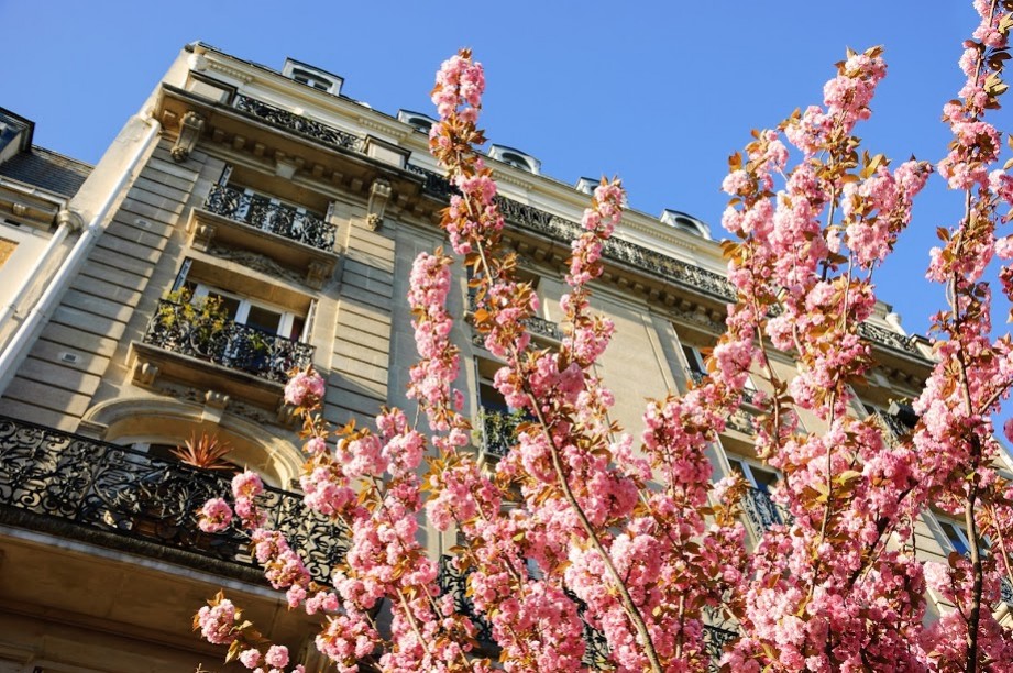 Les miels produits à Paris