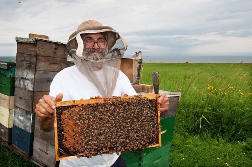 L'apiculture au Canada et au Québec