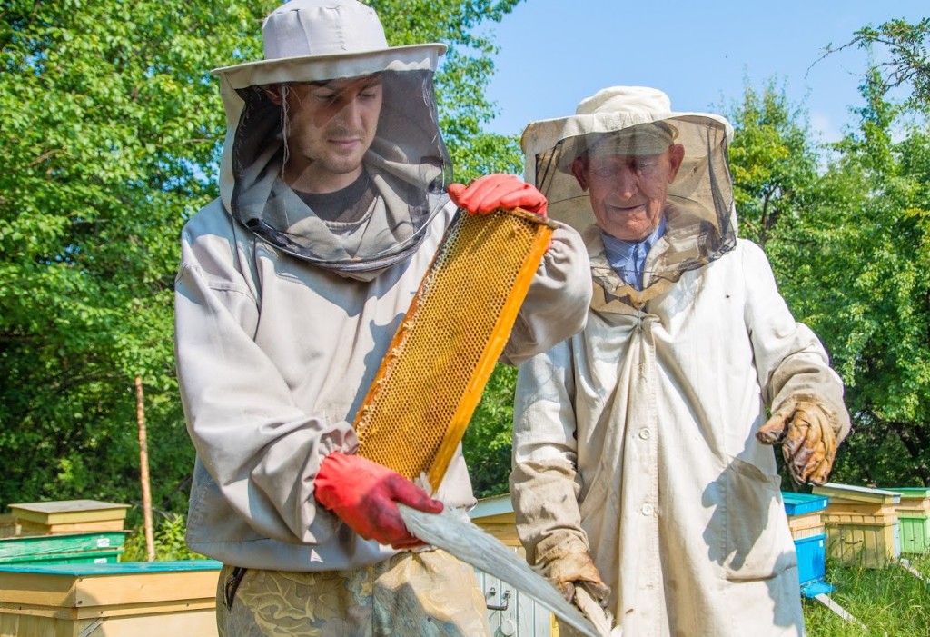 Comment l'apiculture peut aider à la réinsertion sociale