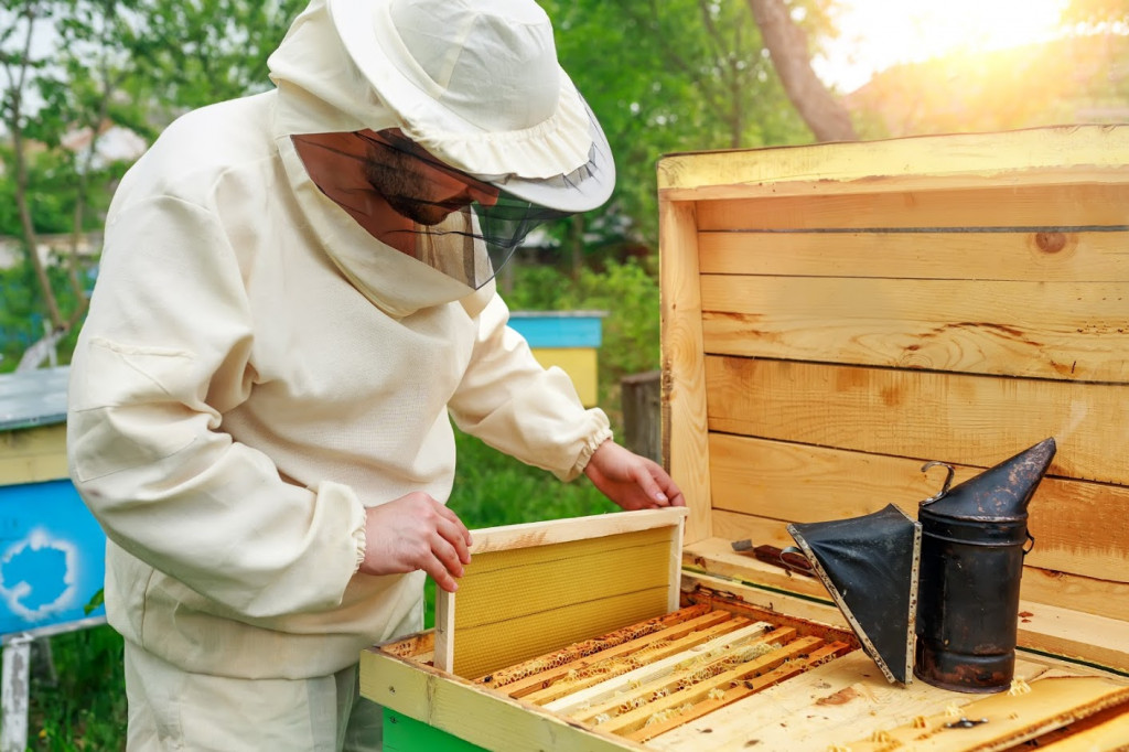 Une ruche d'intérieur pour jouer à l'apiculteur - BEEcosystem