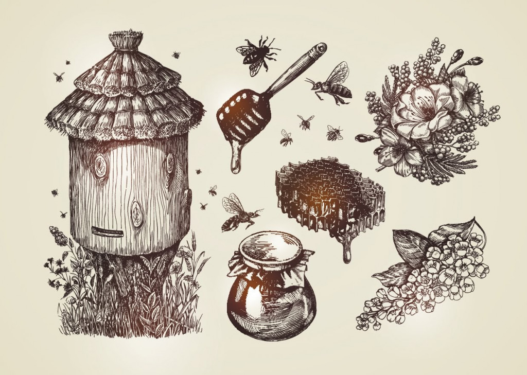 Histoire de l'apiculture - L'apiculture à travers les âges