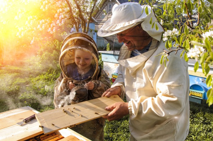 Bien s'habiller pour l'apiculture : les vêtements de l'apiculteur