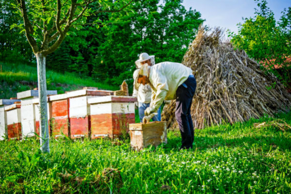 Notre guide pour la visite de printemps