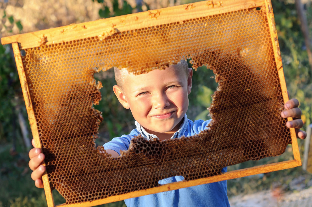 Comment me lancer dans l'apiculture ?