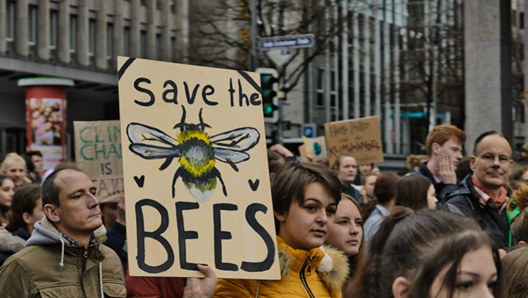 Une pétition pour sauver les abeilles en Allemagne