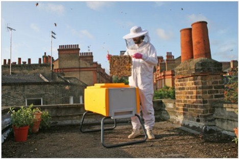 Découvrez l'apiculture urbaine