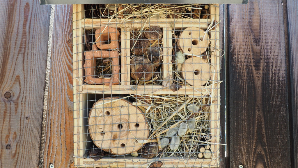 Hôtel à Insecte en bois pour chrysopes, papillons, abeilles et