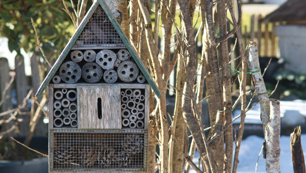 Ce qu'il faut savoir pour fabriquer un hôtel à insectes