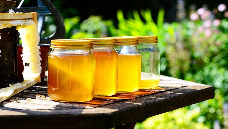 Printemps 2020 : augmentation de la production de miel