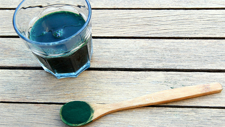 Utiliser la spiruline pour nourrir les abeilles ?