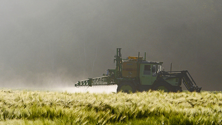 Pourquoi les pesticides sont néfastes pour l’environnement ?