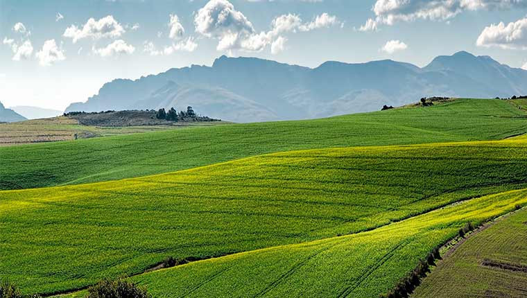 Réduction des pesticides : 30 millions d’euros d’aide pour les agriculteurs