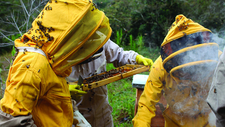 Zoom sur la vareuse pour l’apiculture